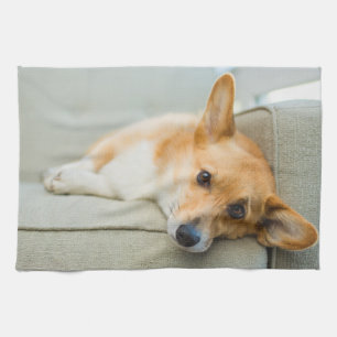 Cutest Baby Animals Corgi Puppy on Couch Tea Towel