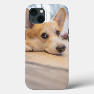 Cutest Baby Animals   Corgi Puppy on Floor iPhone 13 Case