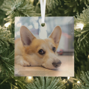 Cutest Baby Animals Corgi Puppy on Floor Glass Tree Decoration