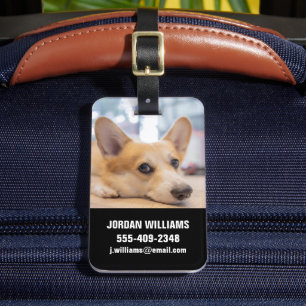 Cutest Baby Animals Corgi Puppy on Floor Luggage Tag