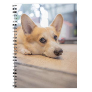 Cutest Baby Animals   Corgi Puppy on Floor Notebook