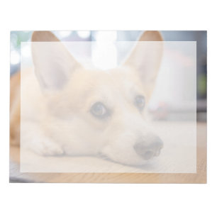 Cutest Baby Animals   Corgi Puppy on Floor Notepad