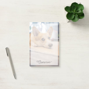 Cutest Baby Animals   Corgi Puppy on Floor Post-it Notes