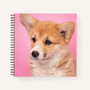 Cutest Baby Animals Corgi Puppy on Pink Notebook