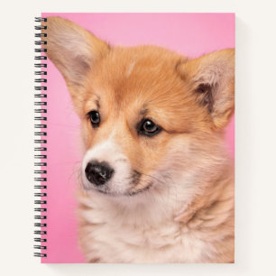Cutest Baby Animals Corgi Puppy on Pink Notebook