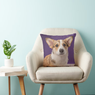 Cutest Baby Animals   Corgi Puppy on Purple Cushion