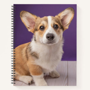 Cutest Baby Animals Corgi Puppy on Purple Notebook