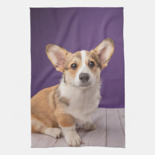Cutest Baby Animals Corgi Puppy on Purple Tea Towel