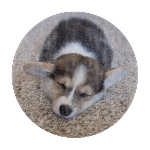 Cutest Baby Animals Corgi Puppy on Shag Rug Cutting Board