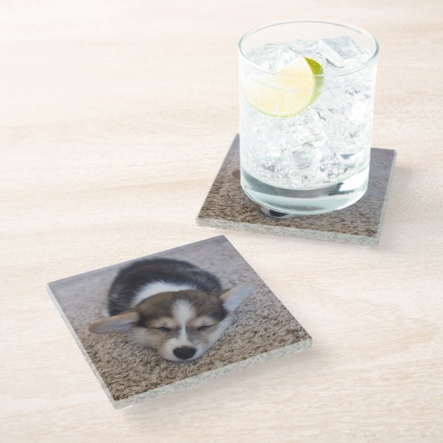Cutest Baby Animals | Corgi Puppy on Shag Rug Glass Coaster (Angled)