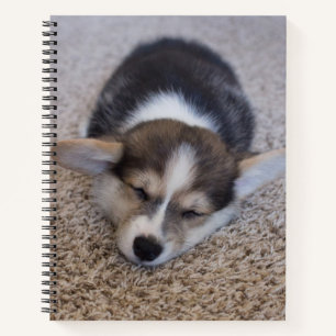 Cutest Baby Animals   Corgi Puppy on Shag Rug Notebook