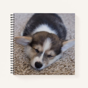 Cutest Baby Animals   Corgi Puppy on Shag Rug Notebook