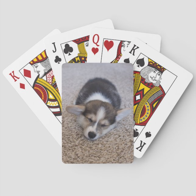 Cutest Baby Animals | Corgi Puppy on Shag Rug Playing Cards (Back)