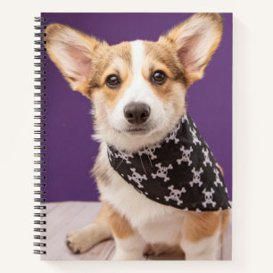 Cutest Baby Animals   Corgi Puppy Skull Bandana Notebook