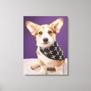 Cutest Baby Animals   Corgi Puppy Skull Bandanna Canvas Print