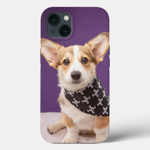 Cutest Baby Animals   Corgi Puppy Skull Bandanna iPhone 13 Case