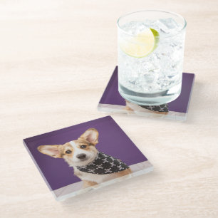 Cutest Baby Animals   Corgi Puppy Skull Bandanna Glass Coaster