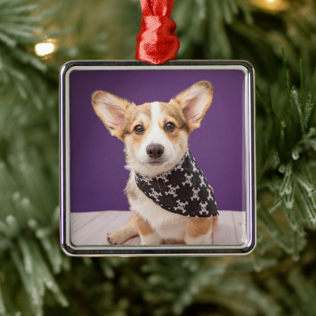 Cutest Baby Animals | Corgi Puppy Skull Bandanna Metal Tree Decoration (Tree)
