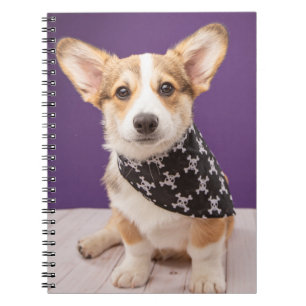 Cutest Baby Animals Corgi Puppy Skull Bandanna Notebook