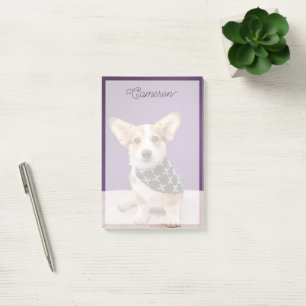 Cutest Baby Animals Corgi Puppy Skull Bandanna Post-it Notes