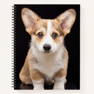 Cutest Baby Animals   Corgi Puppy Standing Tall Notebook