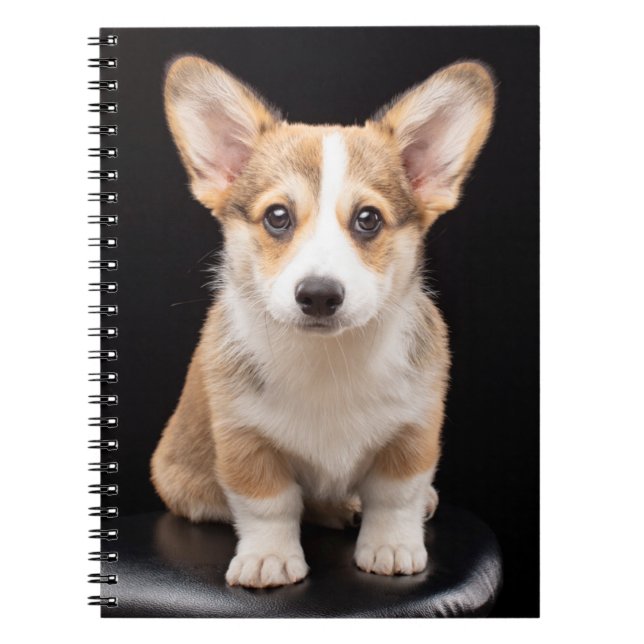 Cutest Baby Animals | Corgi Puppy Standing Tall Notebook (Front)