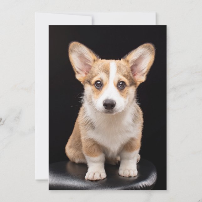 Cutest Baby Animals | Corgi Puppy Standing Tall Thank You Card (Front)