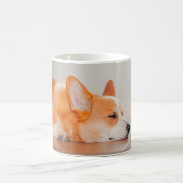Cutest Baby Animals | Corgi Sleeping Coffee Mug (Center)