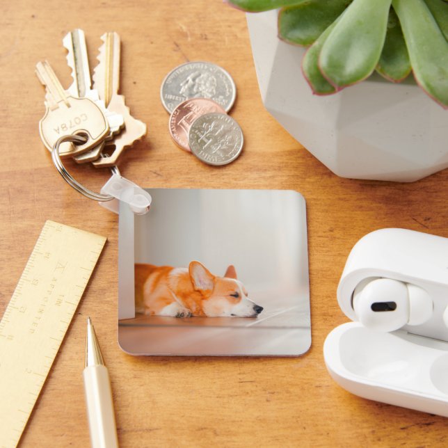 Cutest Baby Animals | Corgi Sleeping Key Ring (Desk)