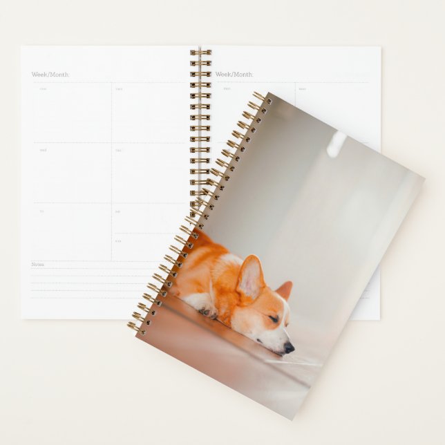 Cutest Baby Animals | Corgi Sleeping Planner (Display)