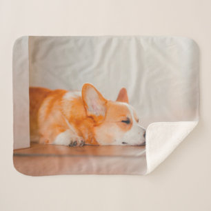 Cutest Baby Animals   Corgi Sleeping Sherpa Blanket