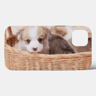 Cutest Baby Animals Corgi Tiny Puppy iPhone 13 Case