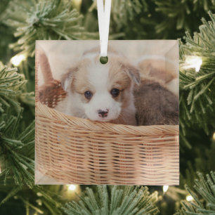 Cutest Baby Animals   Corgi Tiny Puppy Glass Tree Decoration