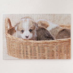 Cutest Baby Animals   Corgi Tiny Puppy Jigsaw Puzzle
