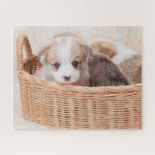 Cutest Baby Animals   Corgi Tiny Puppy Jigsaw Puzzle