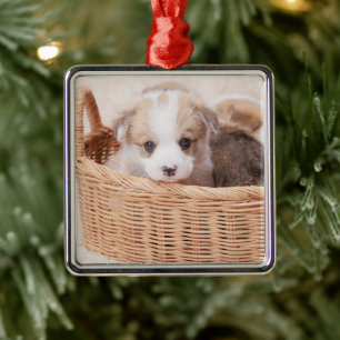 Cutest Baby Animals   Corgi Tiny Puppy Metal Tree Decoration