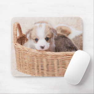 Cutest Baby Animals   Corgi Tiny Puppy Mouse Pad