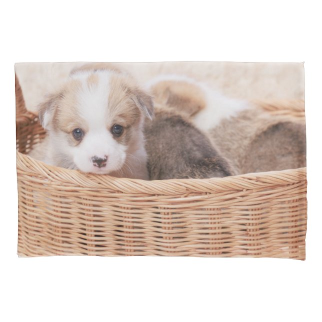 Cutest Baby Animals | Corgi Tiny Puppy Pillowcase (Front)