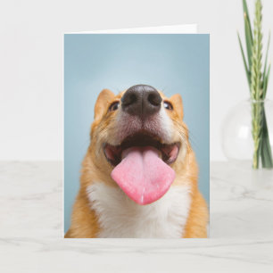 Cutest Baby Animals   Corgi Tongue Card