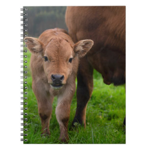 Cutest Baby Animals Cow & Calf Notebook
