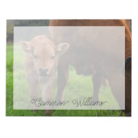 Cutest Baby Animals | Cow & Calf