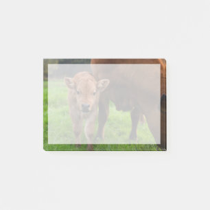 Cutest Baby Animals Cow & Calf Post-it Notes