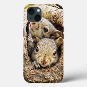 Cutest Baby Animals Curious Baby Squirrels iPhone 13 Case