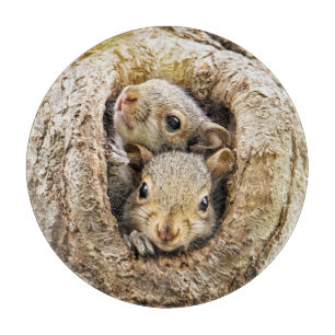 Cutest Baby Animals Curious Baby Squirrels Cutting Board