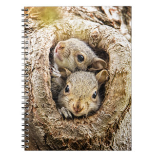 Cutest Baby Animals   Curious Baby Squirrels Notebook
