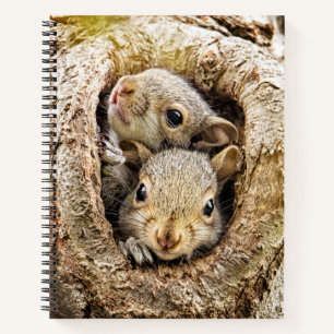 Cutest Baby Animals   Curious Baby Squirrels Notebook