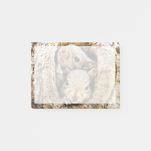 Cutest Baby Animals | Curious Baby Squirrels Post-it Notes (Front)