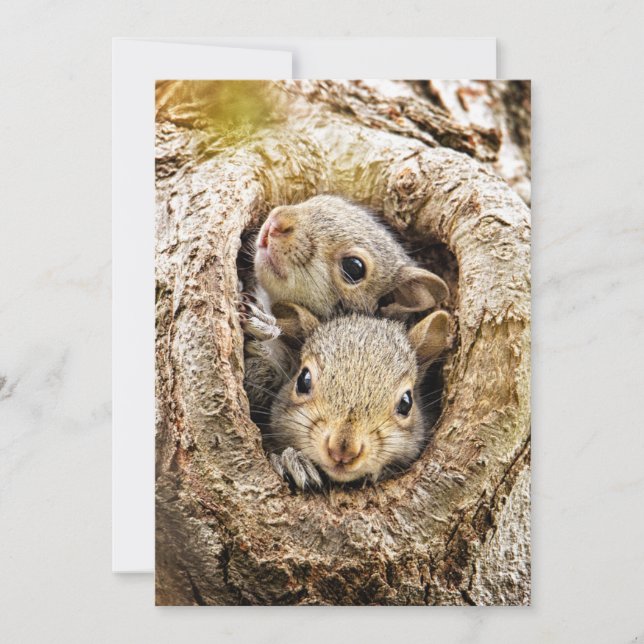 Cutest Baby Animals | Curious Baby Squirrels Thank You Card (Front)