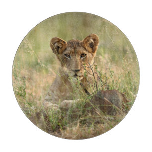 Cutest Baby Animals Cute Baby Lion Cub Cutting Board