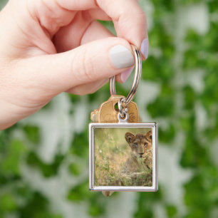 Cutest Baby Animals   Cute Baby Lion Cub Key Ring